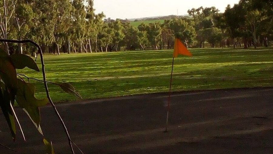 Pingelly GC