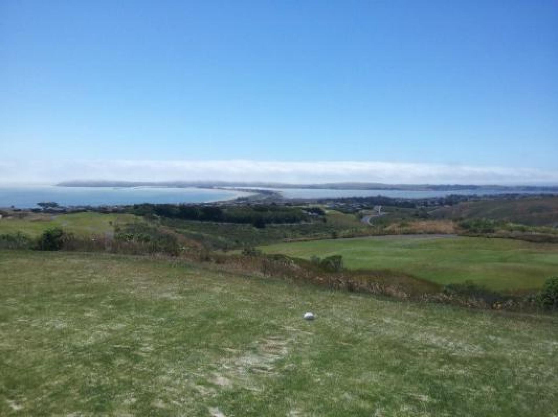 (Photo submitted by Staci3629089 on 06/20/2013)