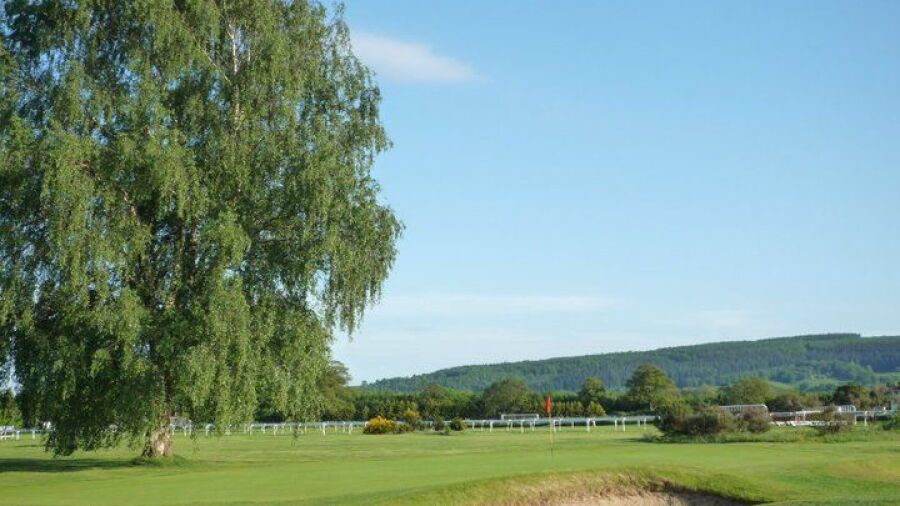 Ludlow GC: #17