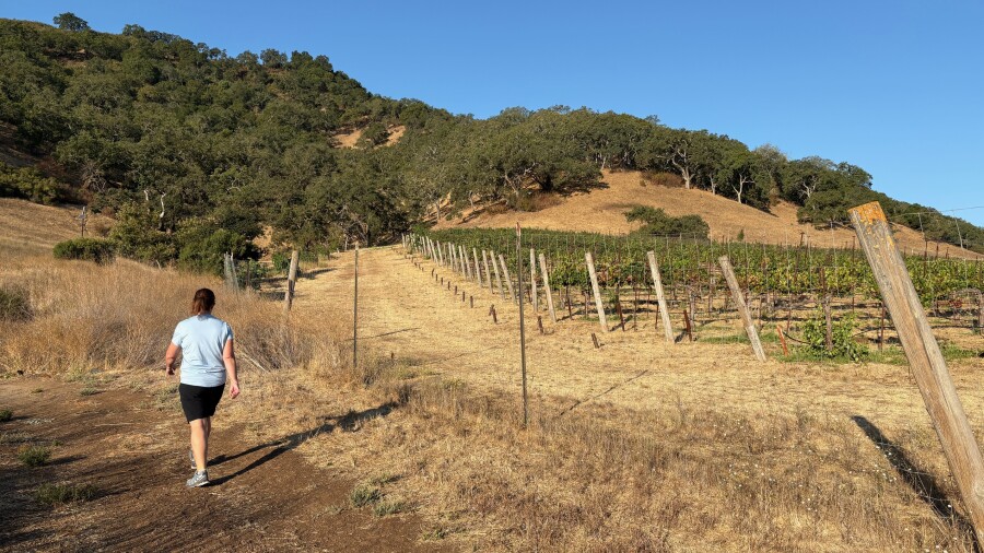 CordeValle - hiking trails 