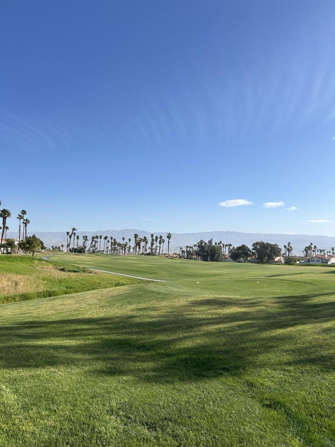 (Photo submitted by tbrac420 on 03/30/2025)