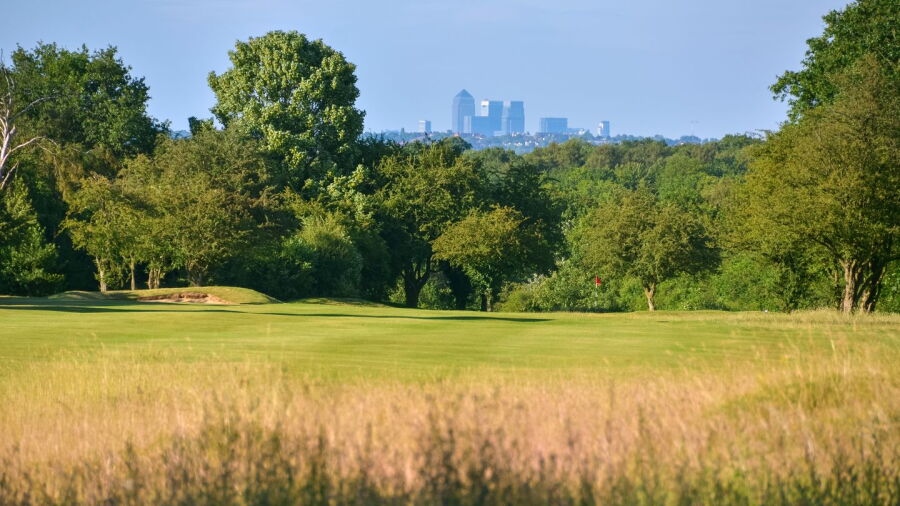Banstead Downs GC: #7