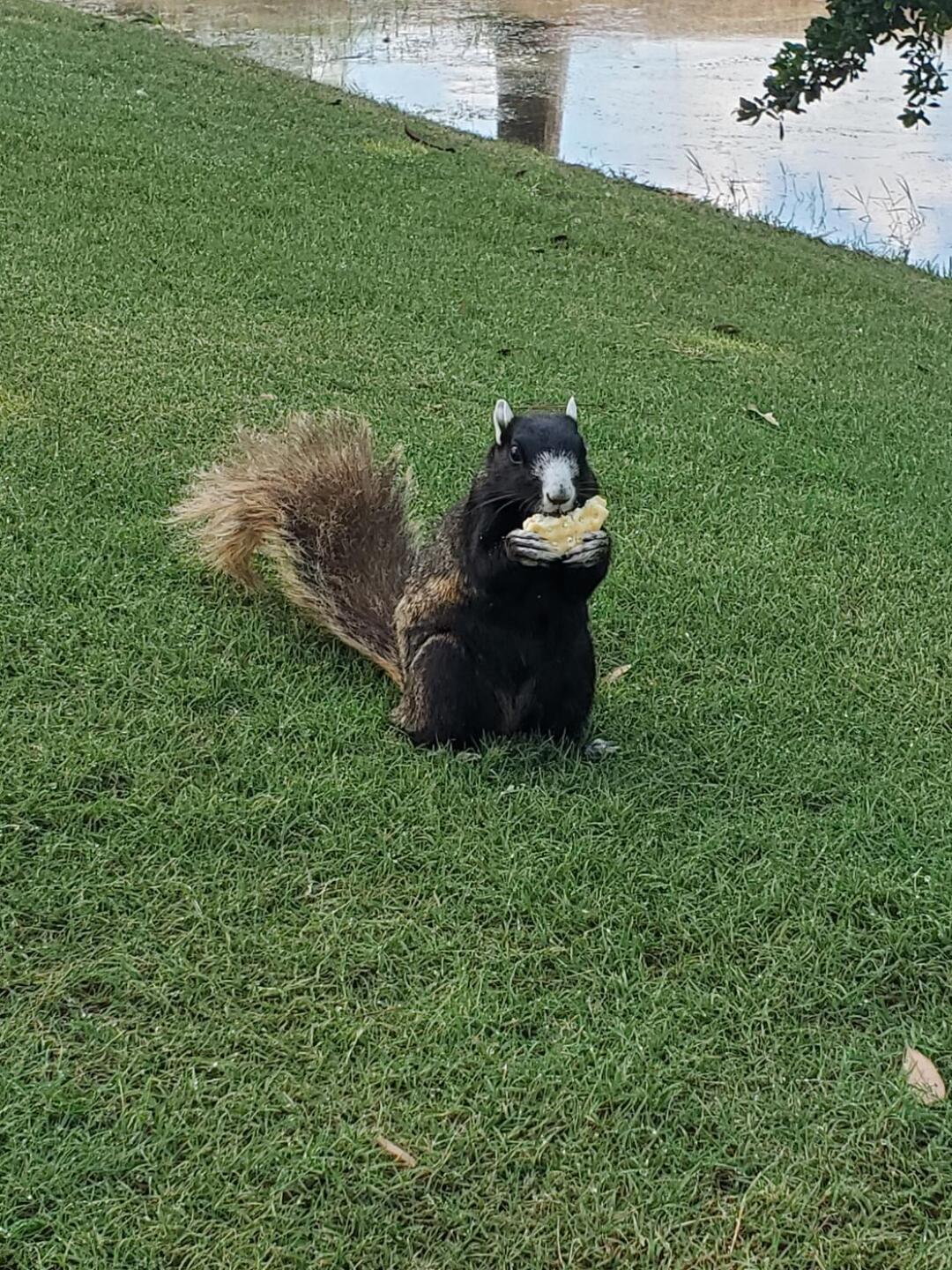 (Photo submitted by u314159841948 on 06/18/2020)