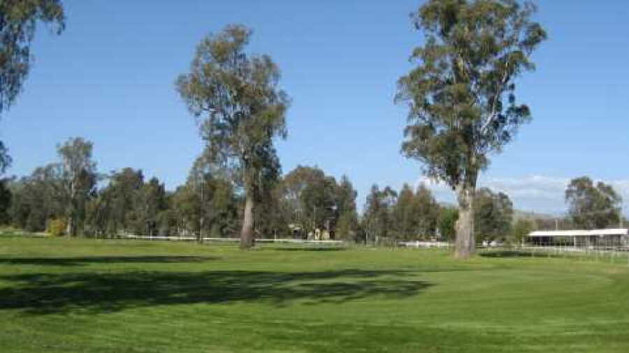 Alexandra GC