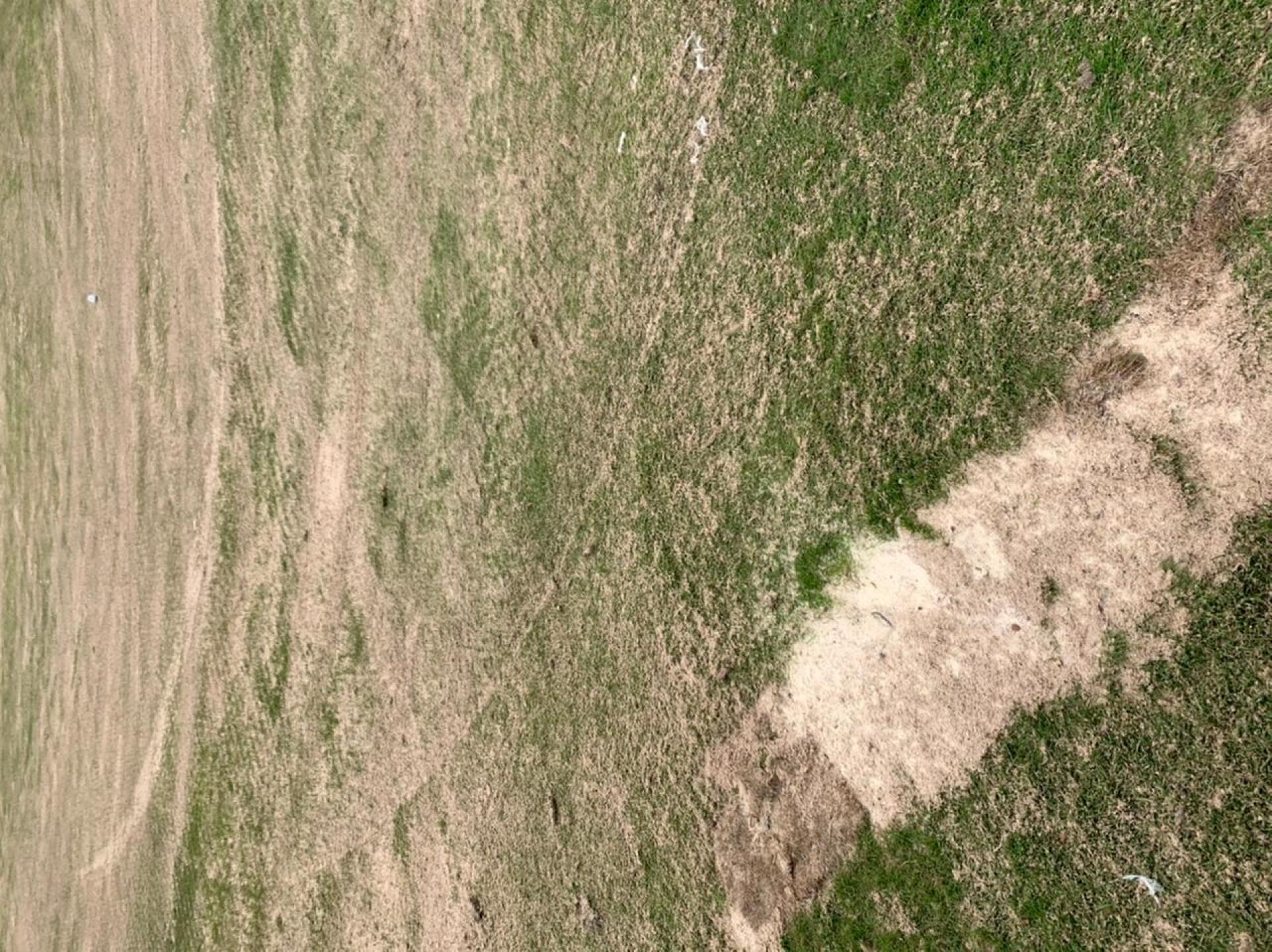 (Photo submitted by u314160456477 on 08/11/2020)