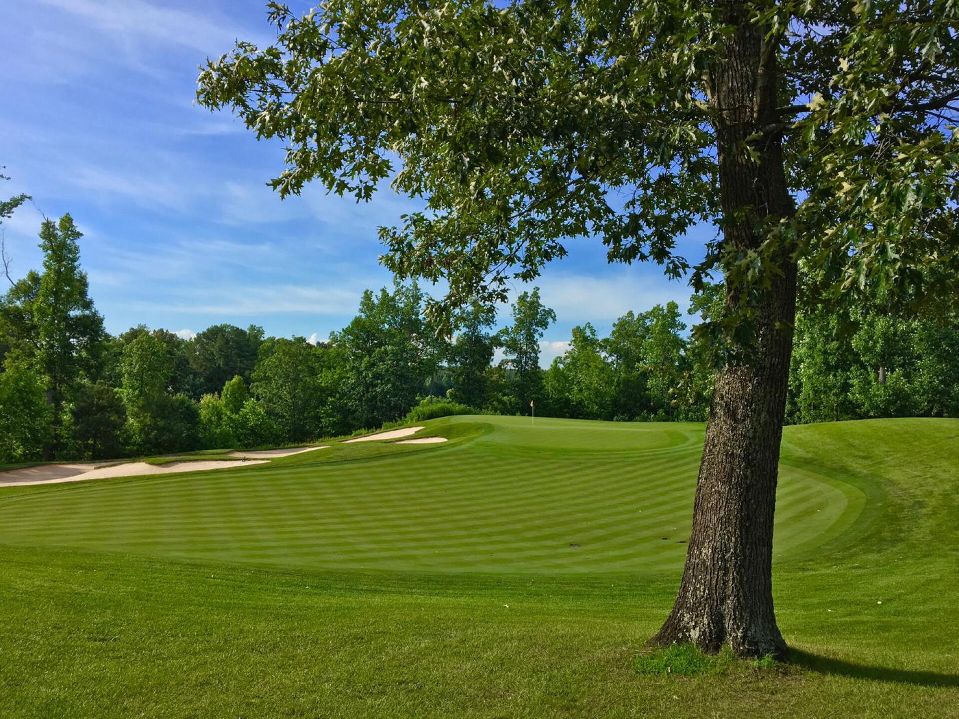 15th green (Photo submitted by BrandonWebb on 06/20/2017)