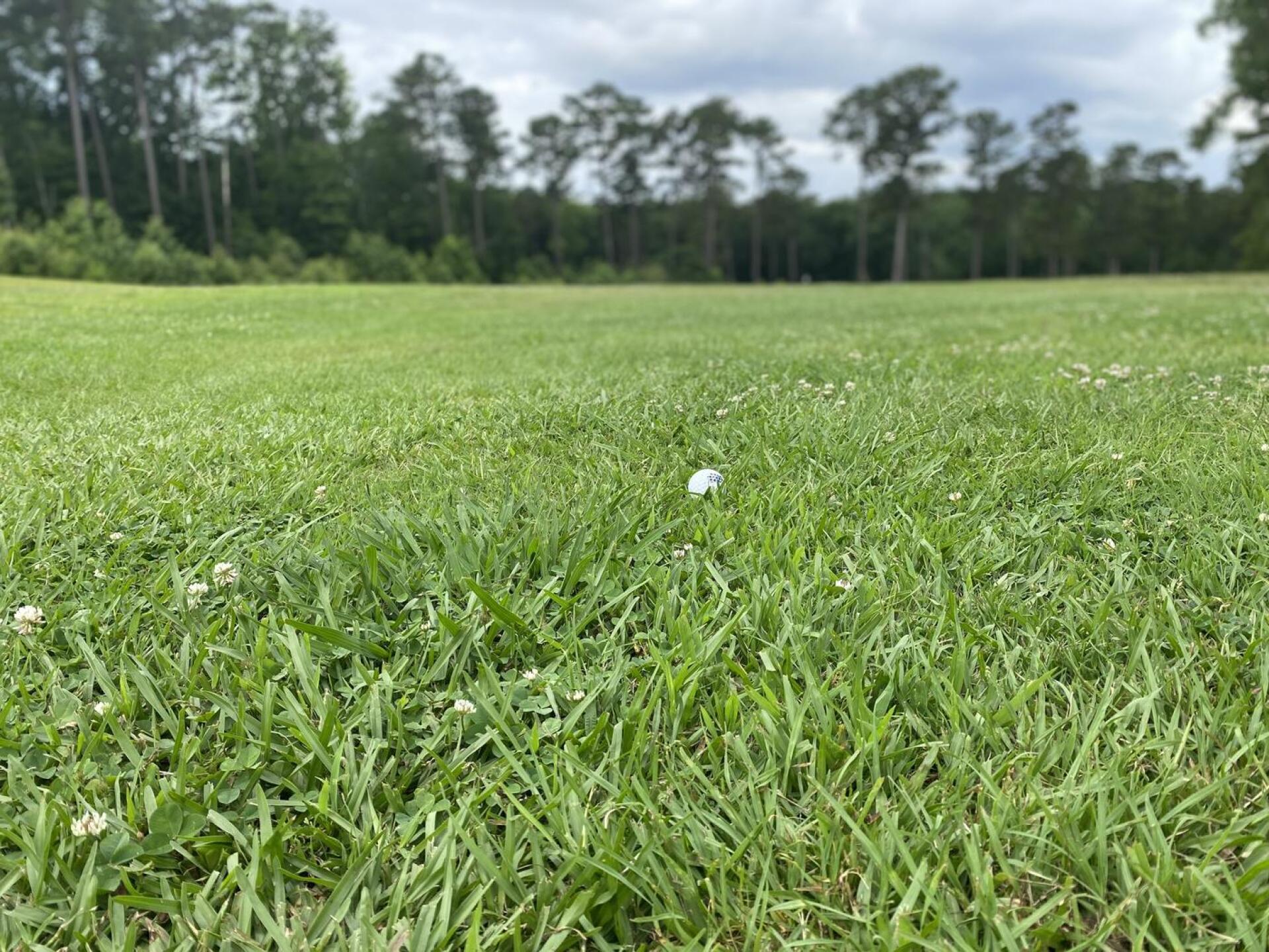 Ball in the middle of the fairway… (Photo submitted by mrkunis on 06/09/2025)