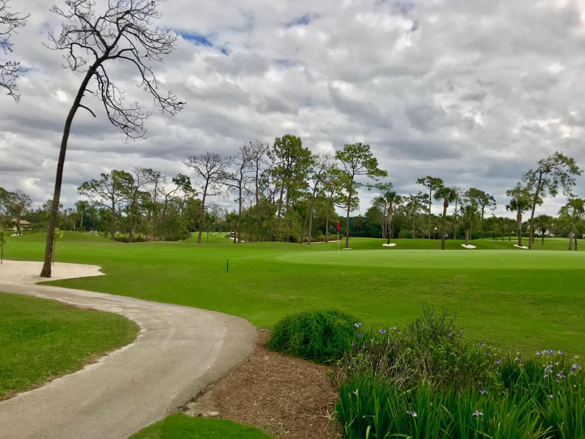 The view from behind The Hideaway's first green shows the intimate nature of the front nine. (Photo submitted by TimGavrichGP on 02/23/2018)