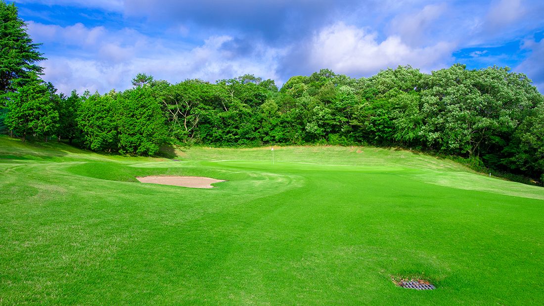 Island Golf Garden Ube
