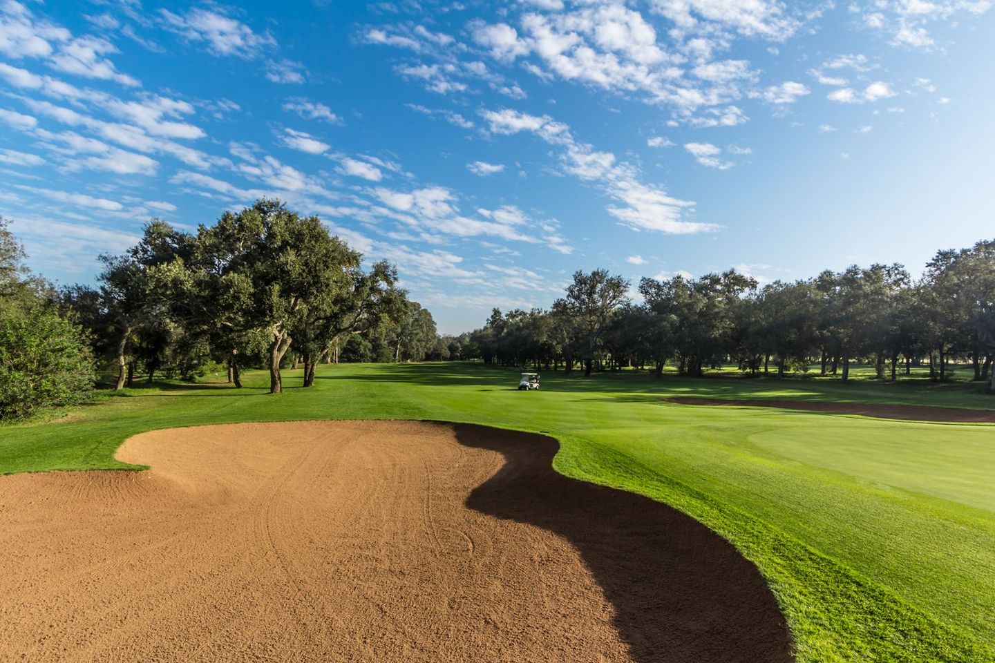 Green Course