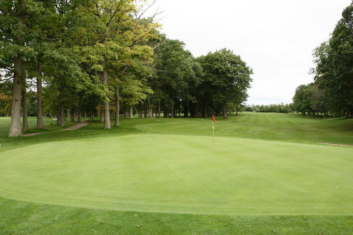 Hickory 9