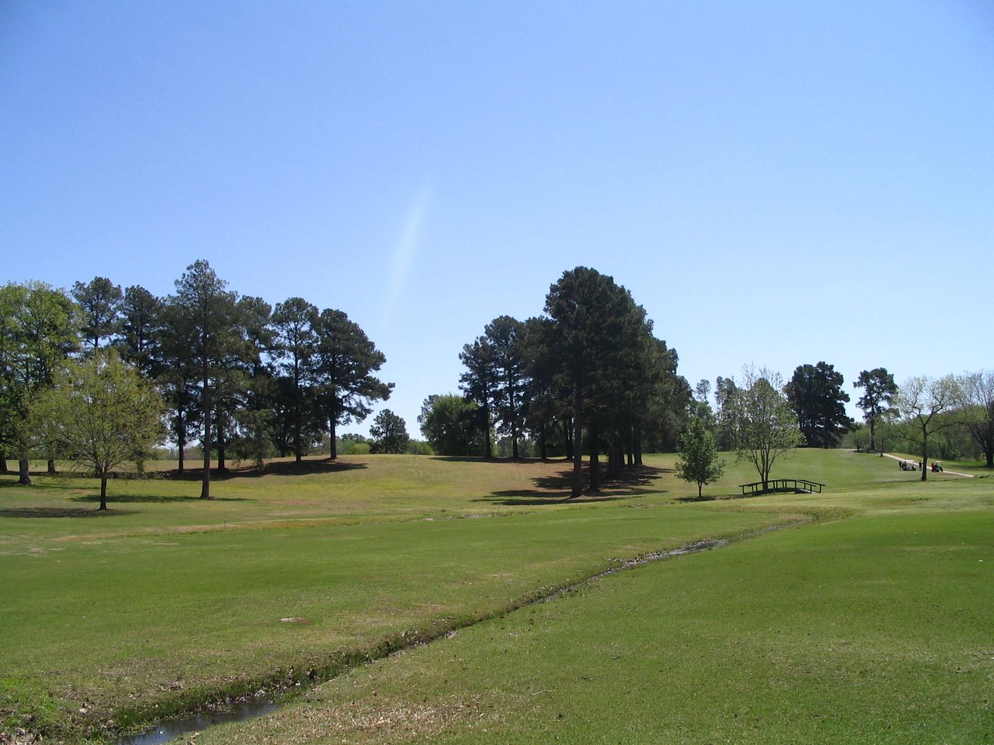 Mineola Country Club