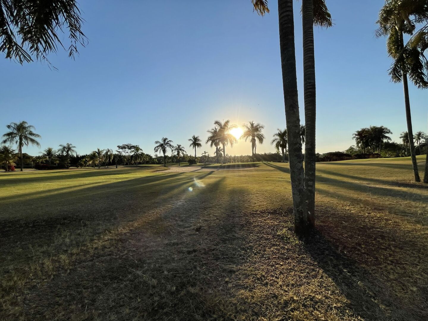 Championship Course