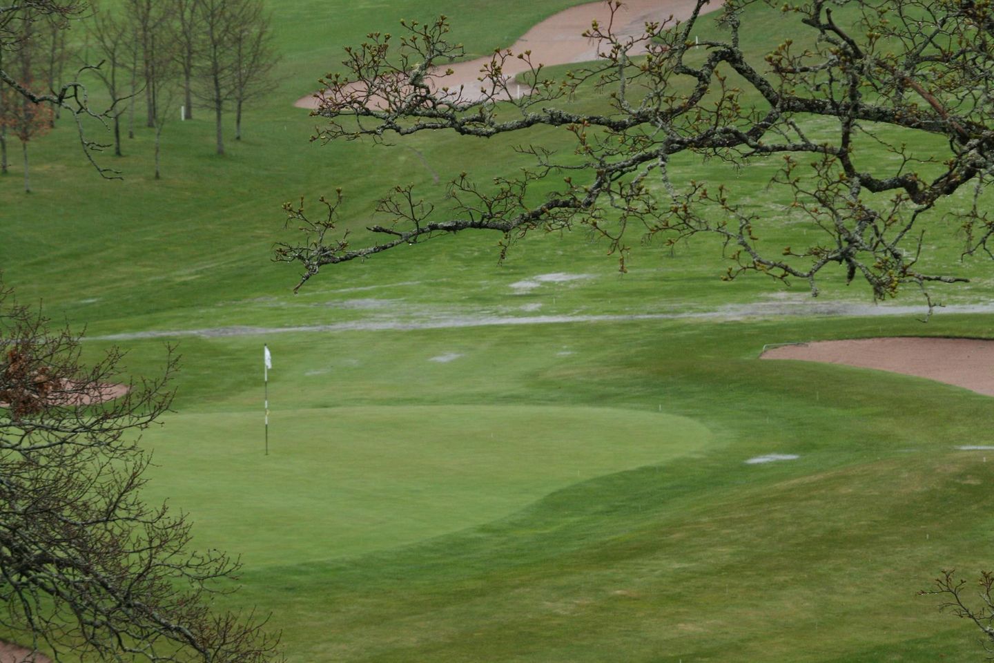 Forest Course