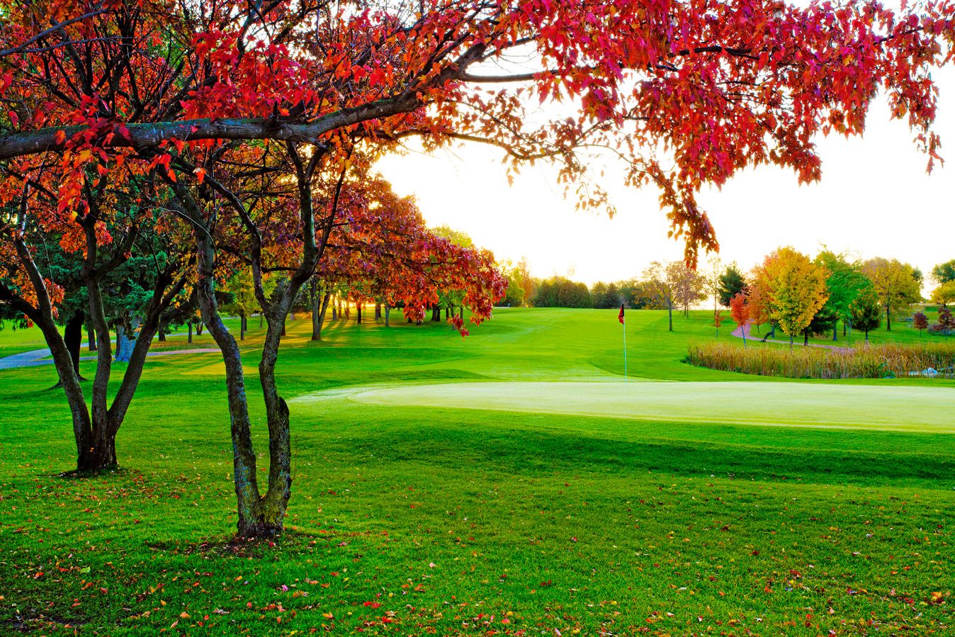 River Falls Golf Club