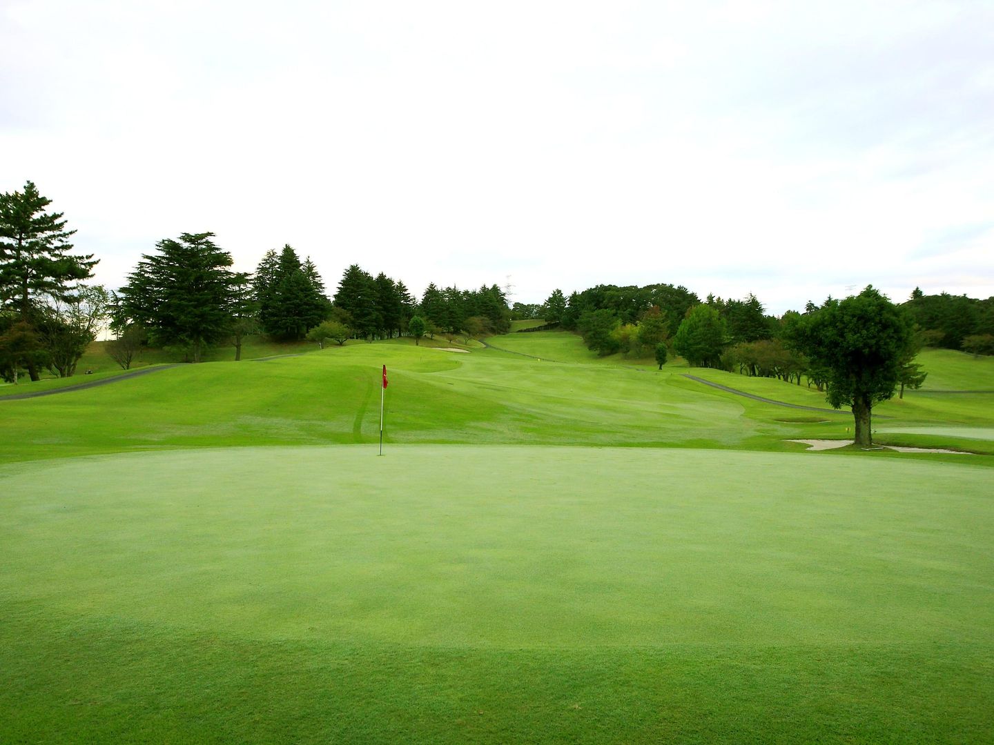 Bamboo/Plum Course