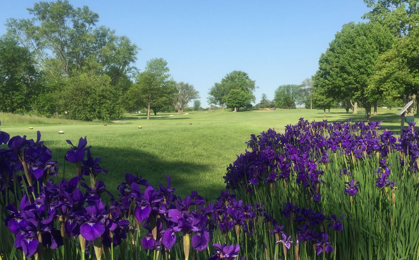 Hillview Country Club