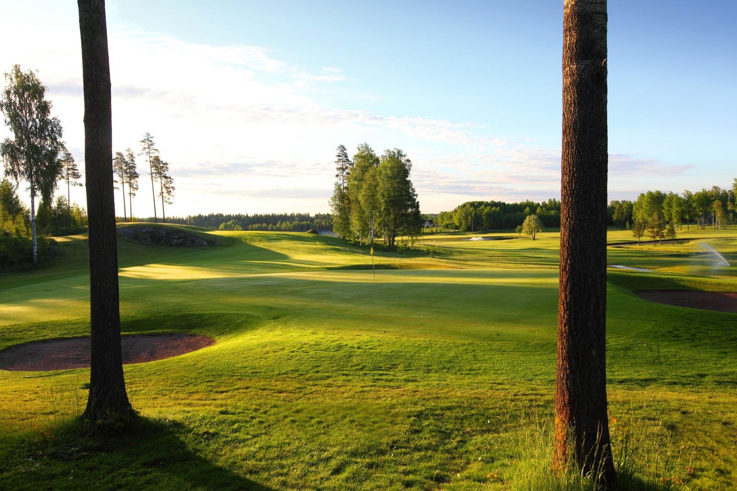 Laakso Course
