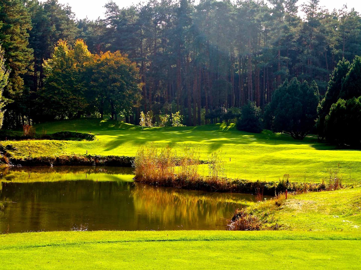 St. Dionys Golf Club