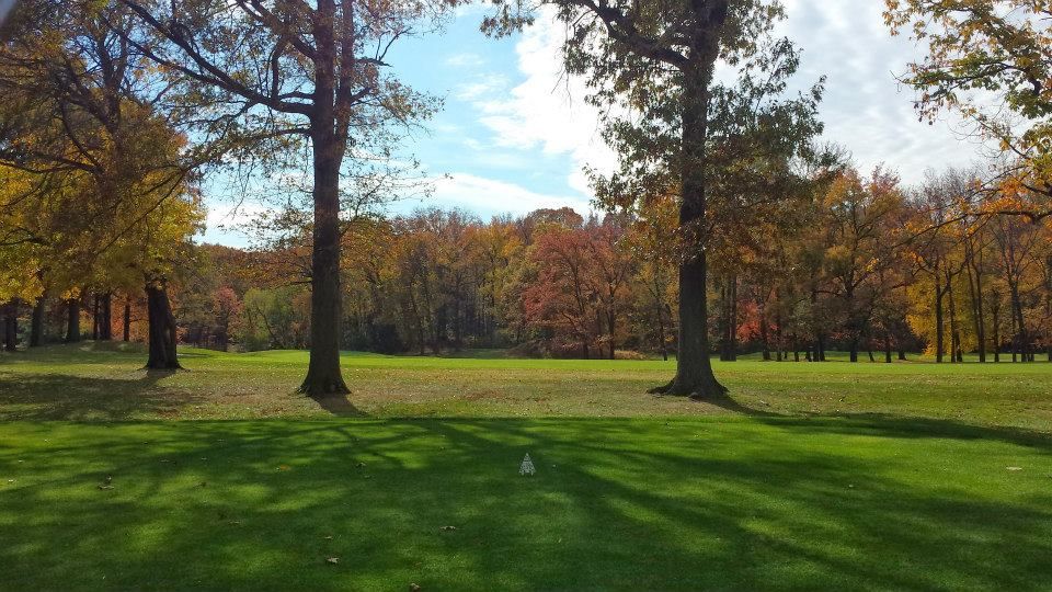 Nine Hole
