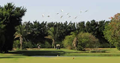 Las Palmas Country Club