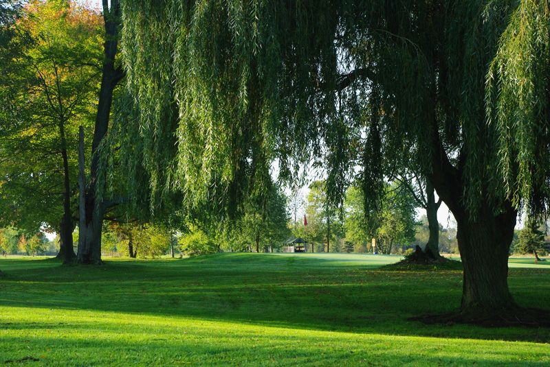 Long Beach Country Club in Wainfleet, Ontario, Canada GolfPass