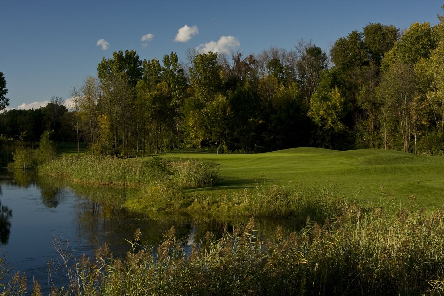 Cherry Creek Golf Club