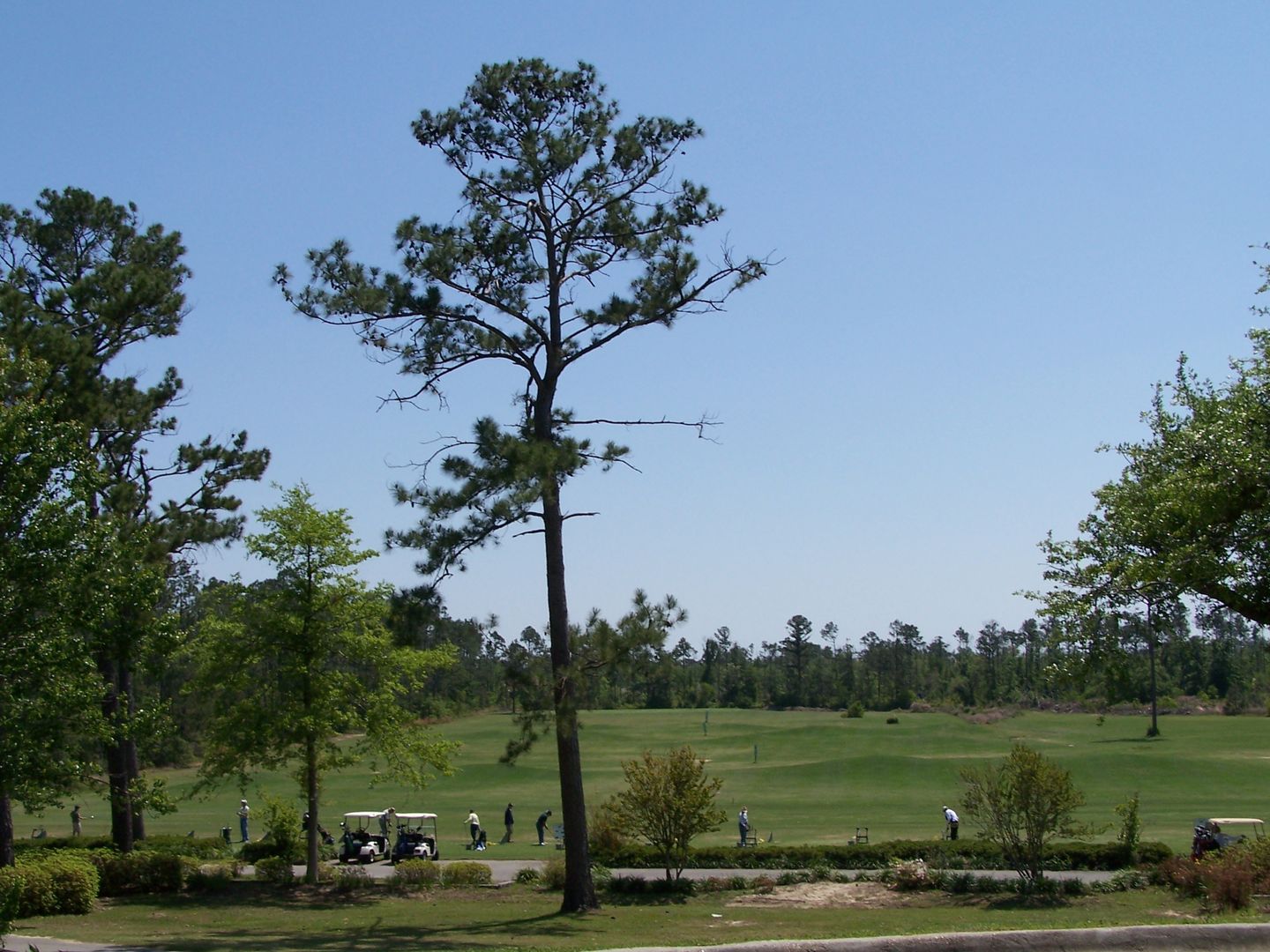 Diamondhead Country Club