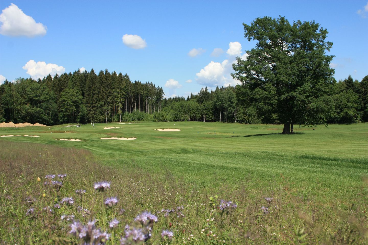 Patting-Hochriesblick Golf Course