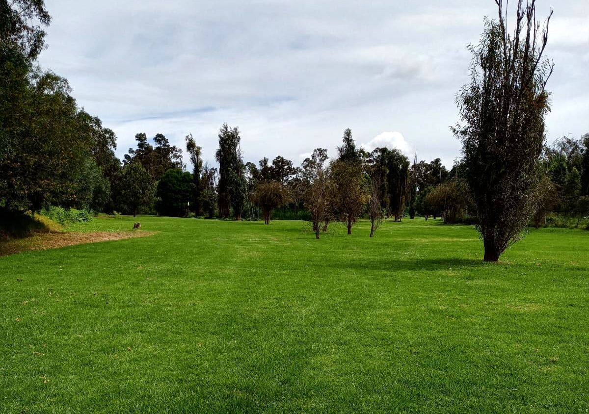 Campo de Golf Las Dalias Cuemanco