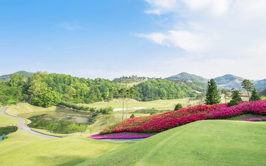Hansung Course