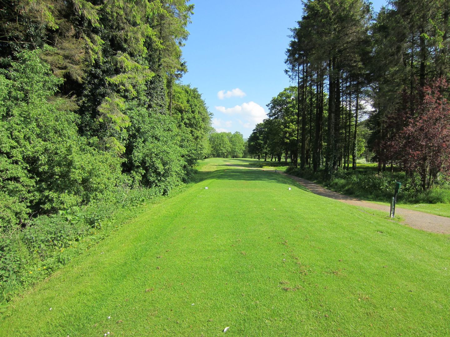 Mitchelstown Golf Club