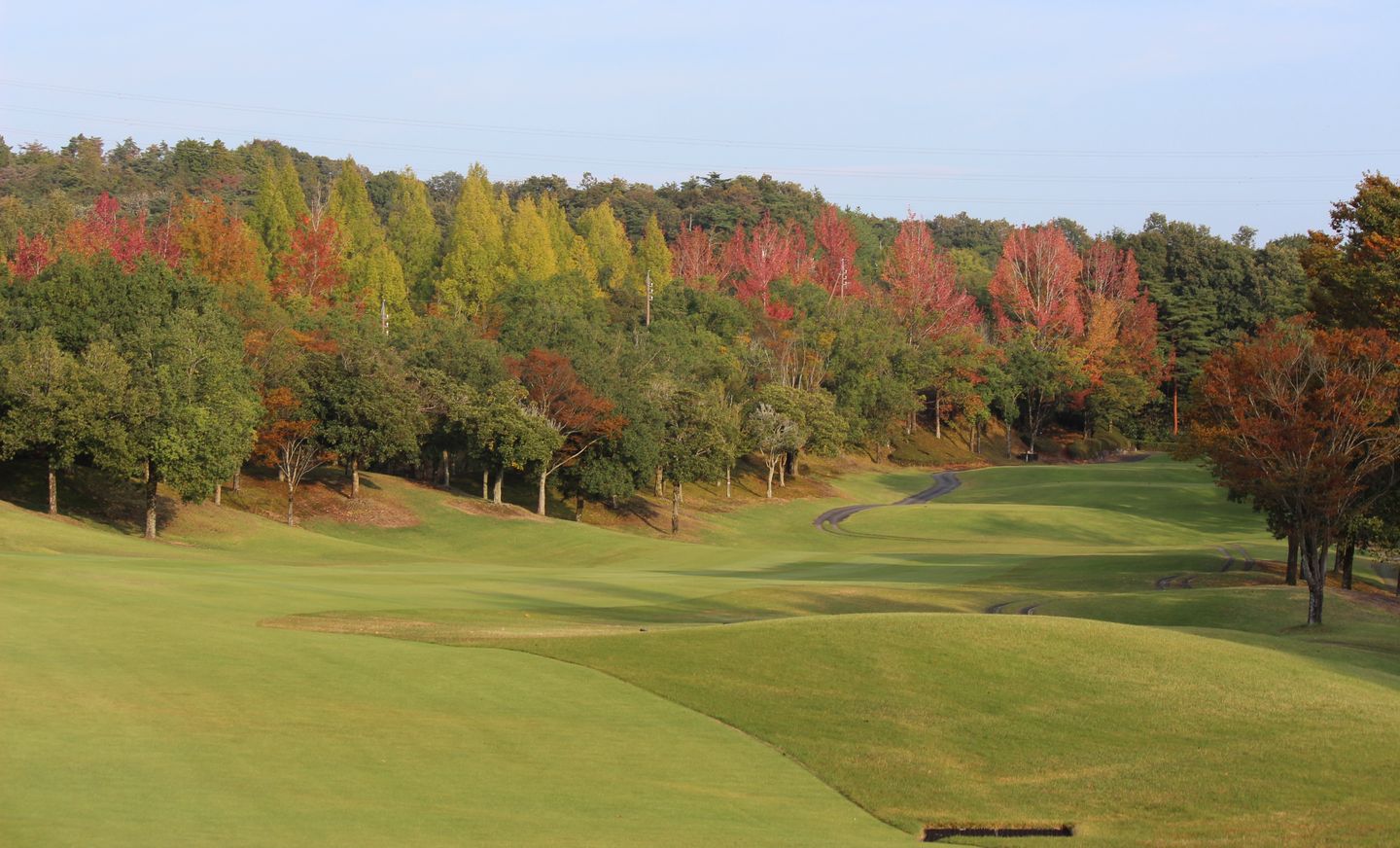 Bellflower Country Club