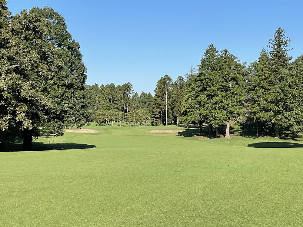 Shinsode Course