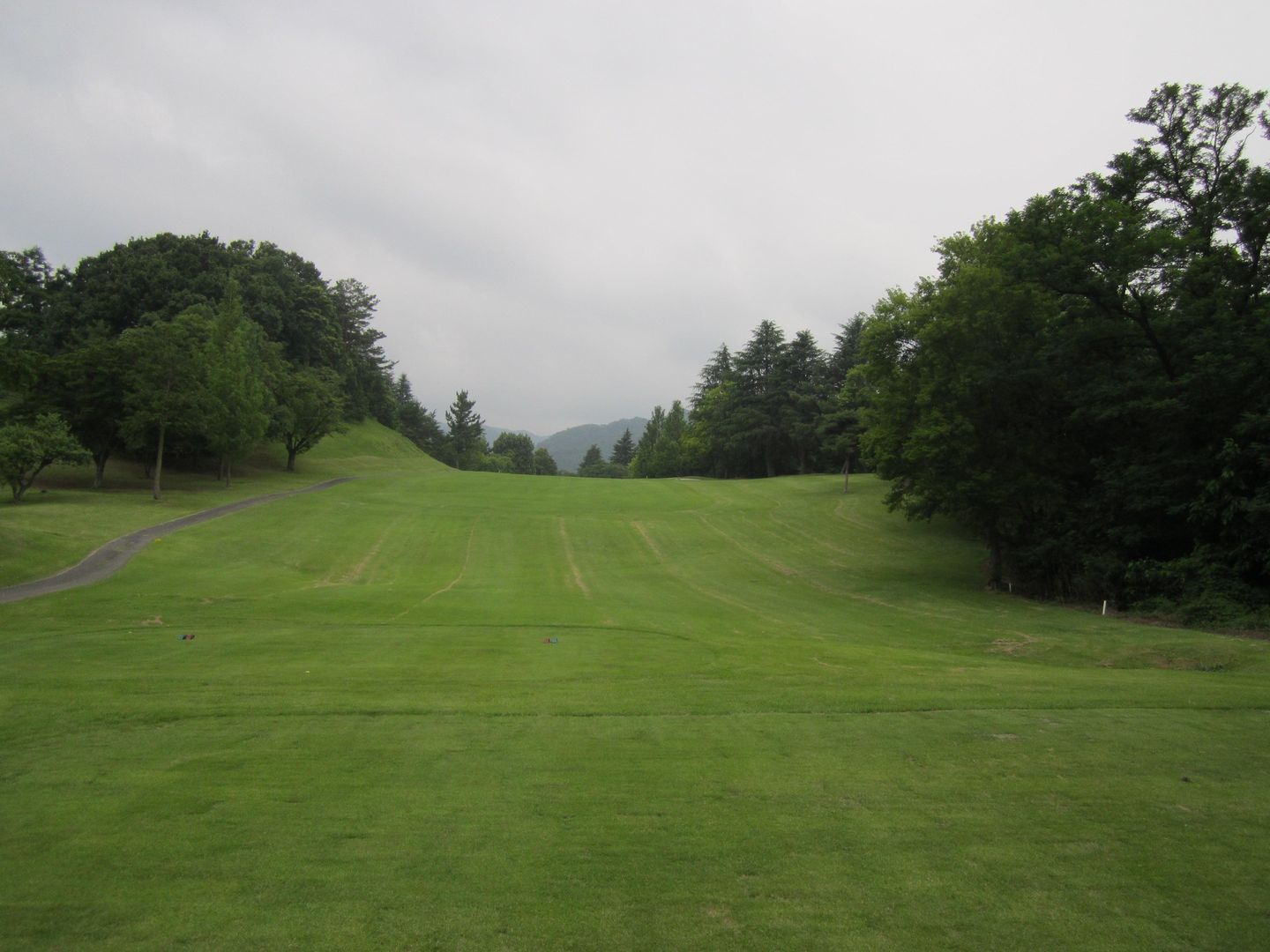 Camellia/Maple Course