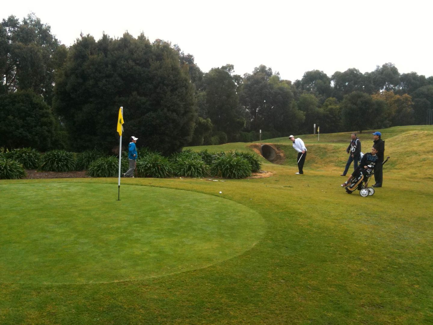 Waverley Pitch & Putt