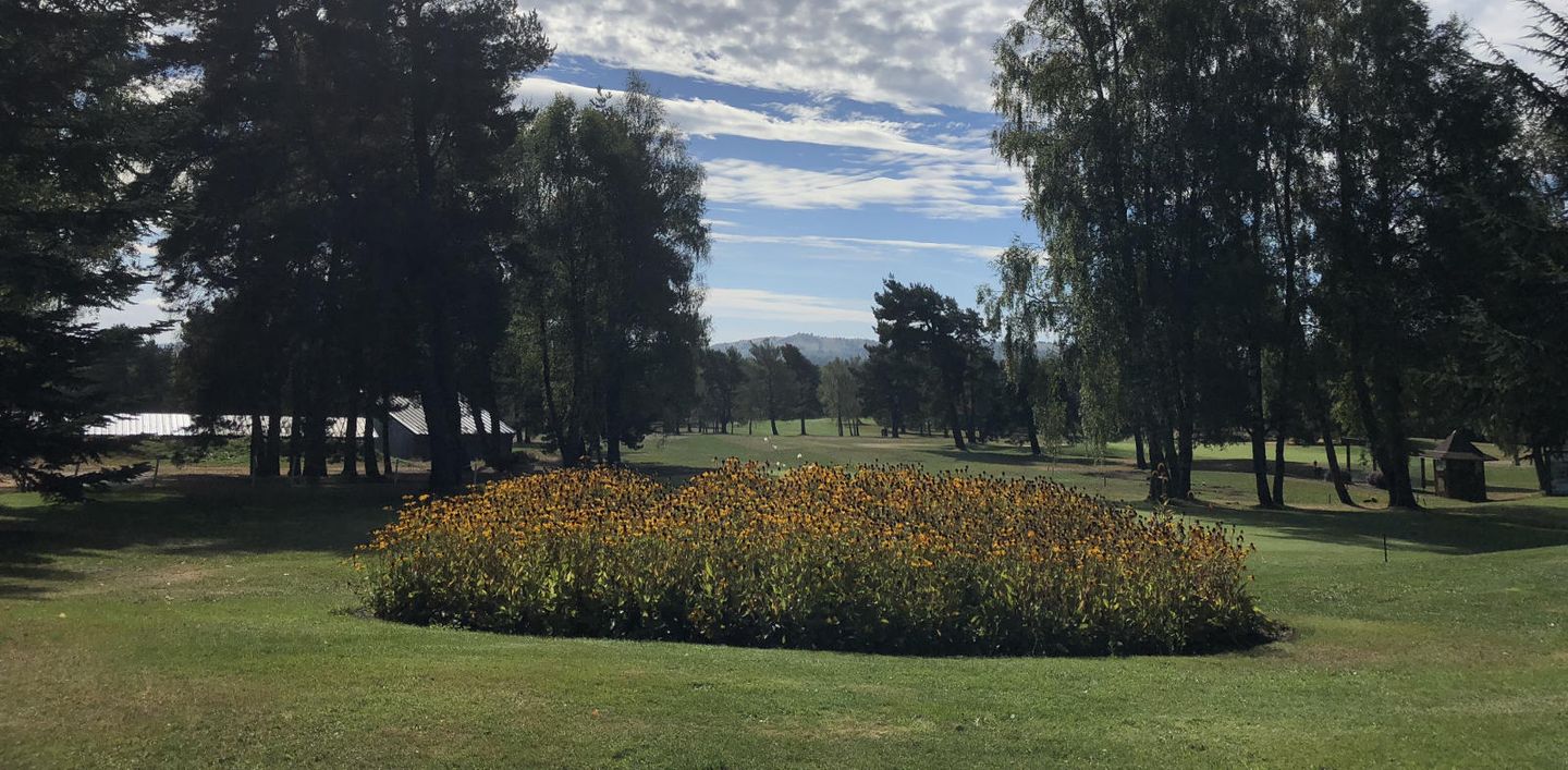 9-hole Course
