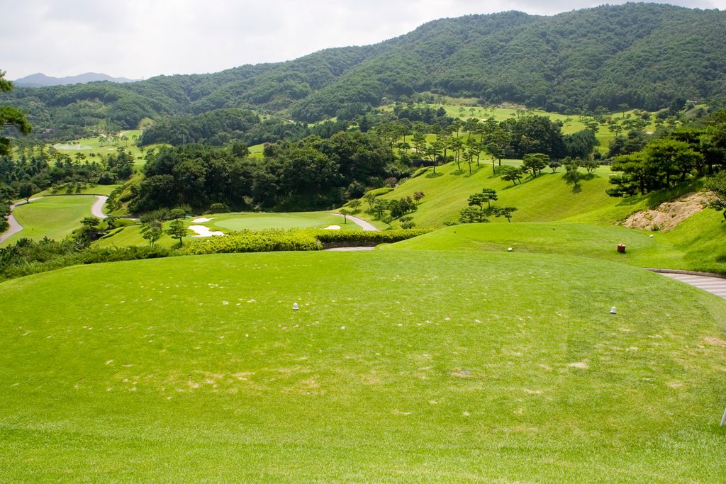 Middle Course