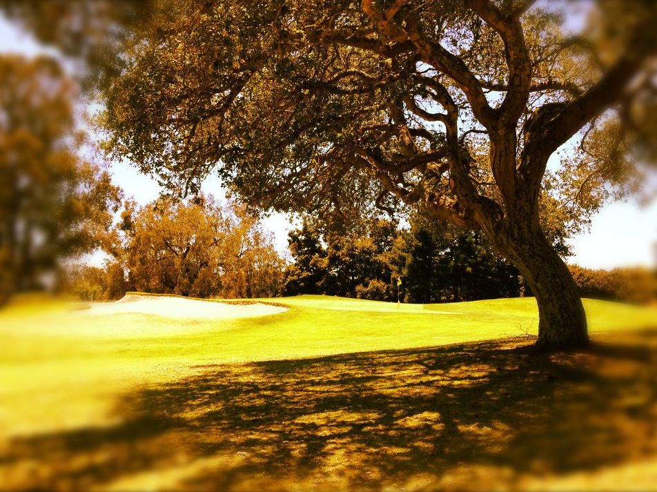 Oaks/Canyon