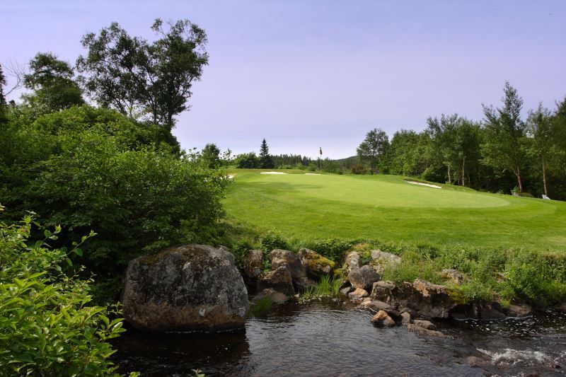 The Willows at Holyrood
