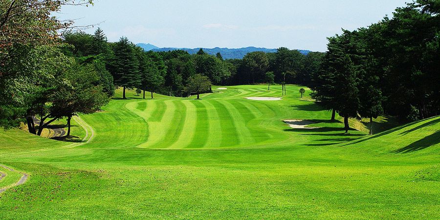 North/South Course