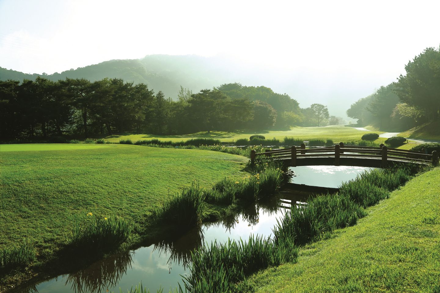 Tee Cloud Country Club