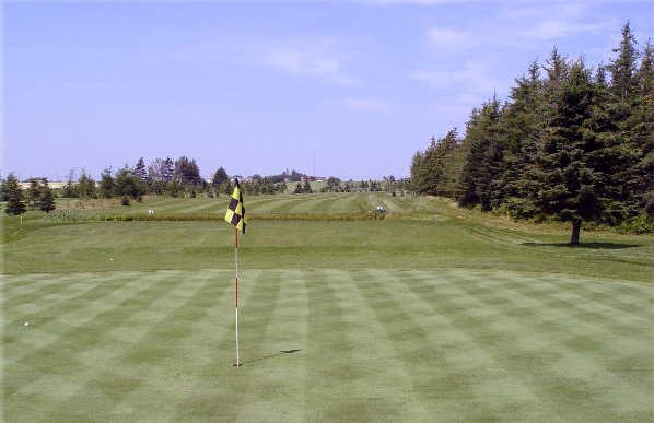 Rollo Bay Greens