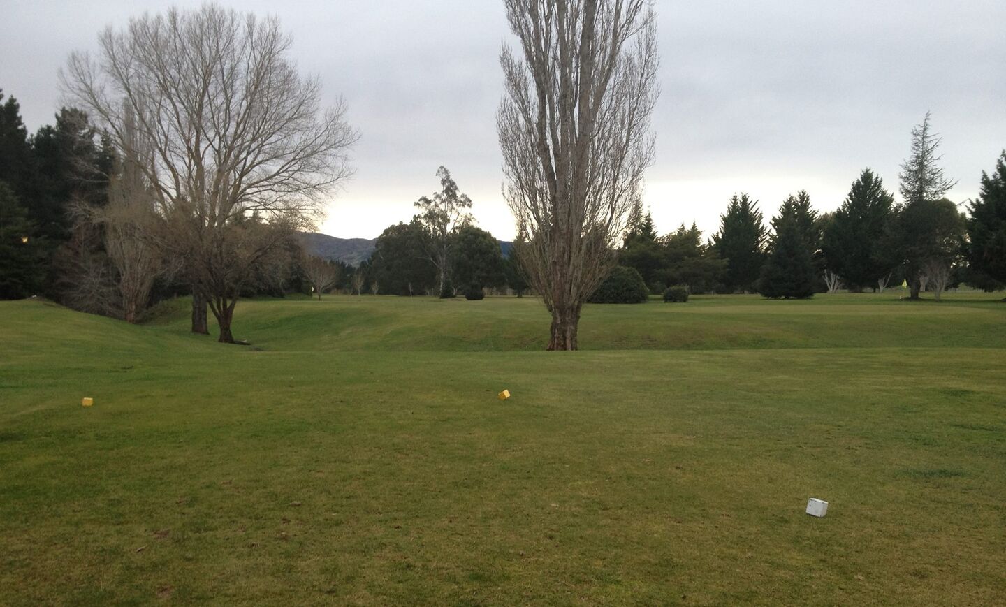 Scargill Golf Club