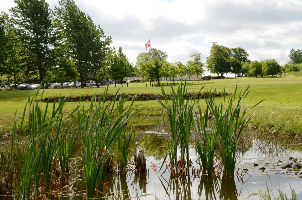 Par-3 Course