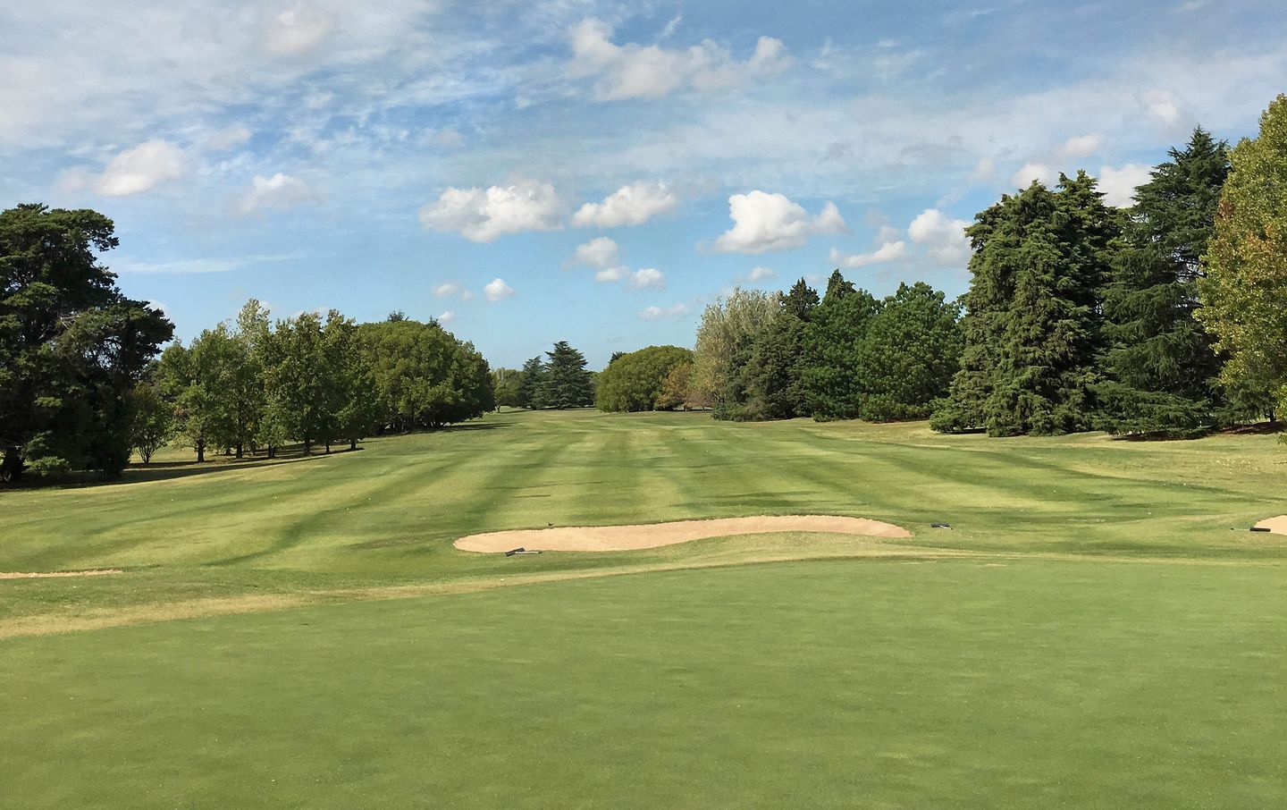 Betulas Course