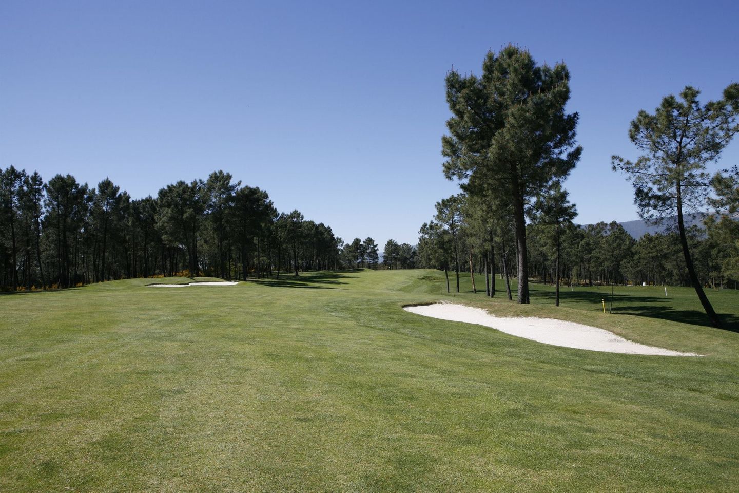 Caramulo Course