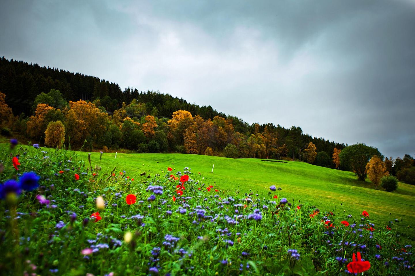 Harstad Golf Club