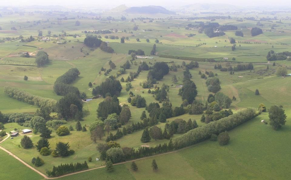 Stewart Alexander Golf Club