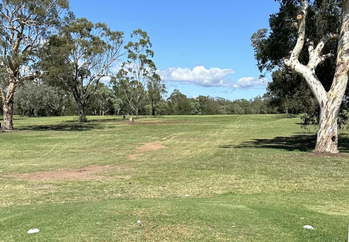 Denman Golf Club